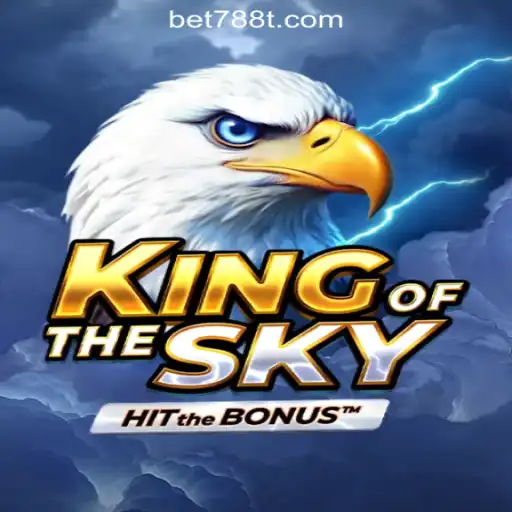 Exploring KingOfTheSky: A Dive into Brazil's #1 Oficial Slots